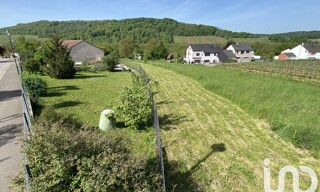 Photo N° 6