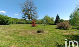 Photo N° 6