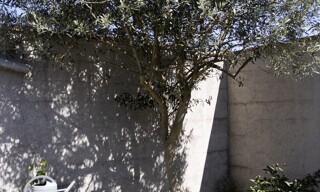 Photo N° 7