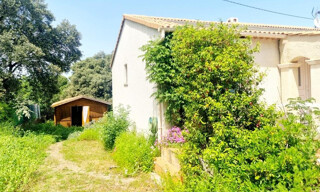 Photo N° 3
