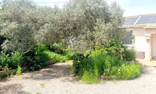 Photo N° 4