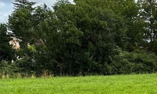 Terrain  1200 m² à vendre à Pineuilh (33220)