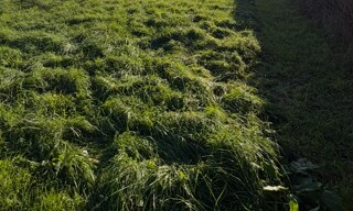 Terrain  370 m² à vendre à Artigues-près-Bordeaux (33370)