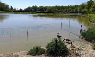 Maison  15912 m² à vendre à Féron (59610)