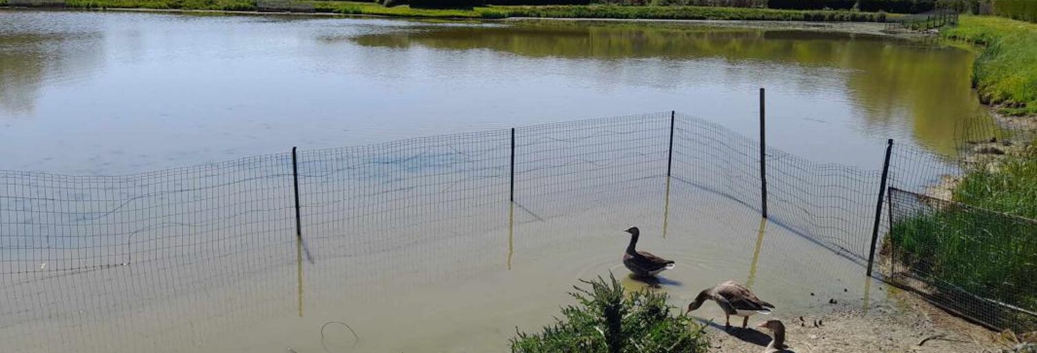 Maison  15912 m² à vendre à Féron (59610)