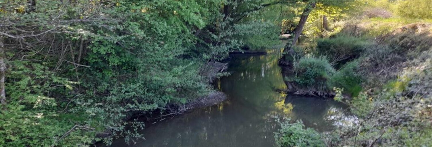 Maison  15912 m² à vendre à Féron (59610)