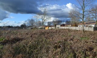 Photo N° 3