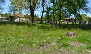 Terrain  600 m² à vendre à Le Teich (33470)