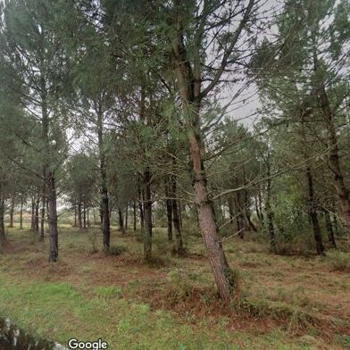 Terrain  355000 €