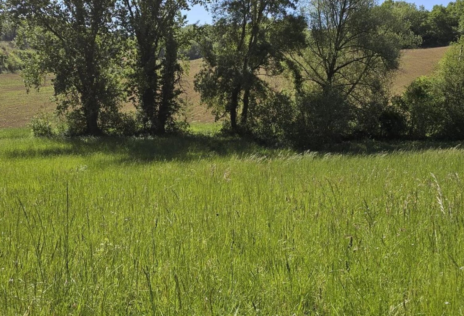 Terrain de 2 283 m² avec Vue sur la Campagne — photo 1