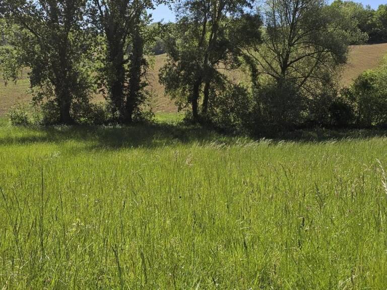 Terrain de 2 283 m² avec Vue sur la Campagne — photo 1