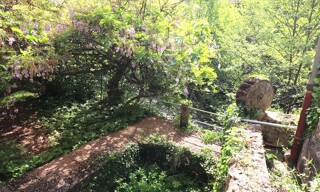Photo N° 3