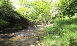 Photo N° 5