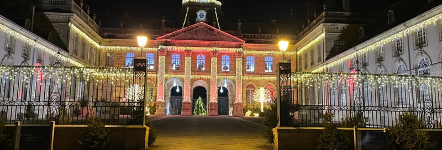 Appartement 8 Pièces 176 m² à vendre à Lunéville (54300)