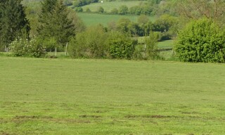 Photo N° 8