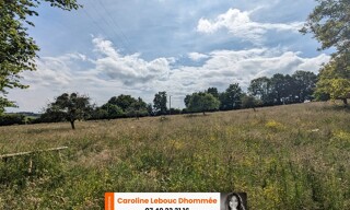 Photo N° 6