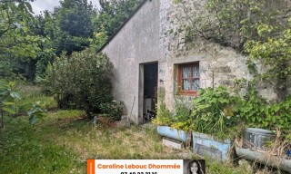 Photo N° 3
