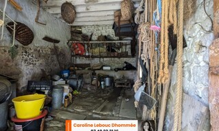Photo N° 4