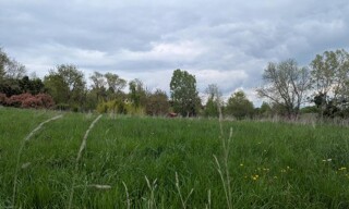 Terrain  1056 m² à vendre à Marcilly-le-Châtel (42130)