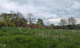 Photo N° 3