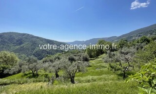 Photo N° 16