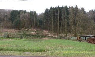 Photo N° 2