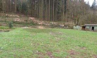 Photo N° 3