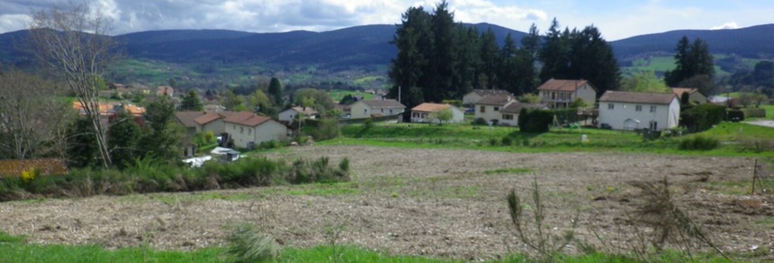 Terrain  1235 m² à vendre à Noirétable (42440)