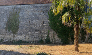 Photo N° 8