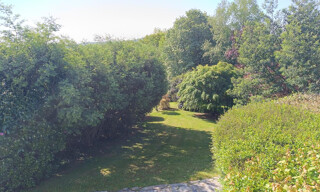 Photo N° 4