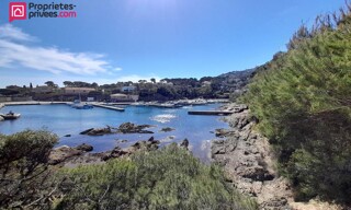 Photo N° 8