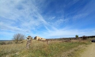 Photo N° 5