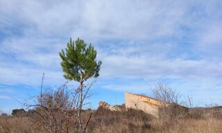 Photo N° 6