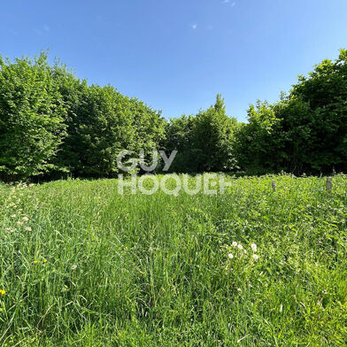 Terrain  100000 €