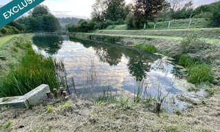 Photo N° 6