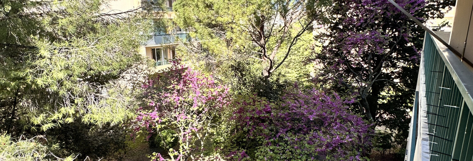 Appartement 3 Pièces 63 m² à vendre à Montpellier (34000)