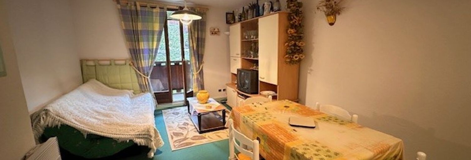 Appartement 2 Pièces 34 m² à vendre à Allos (04260)