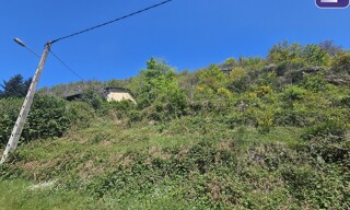 Photo N° 4