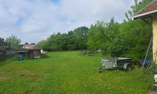 Photo N° 4