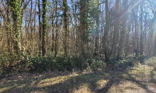 Terrain  3726 m² à vendre à Ully-Saint-Georges (60730)