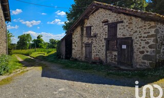 Photo N° 4