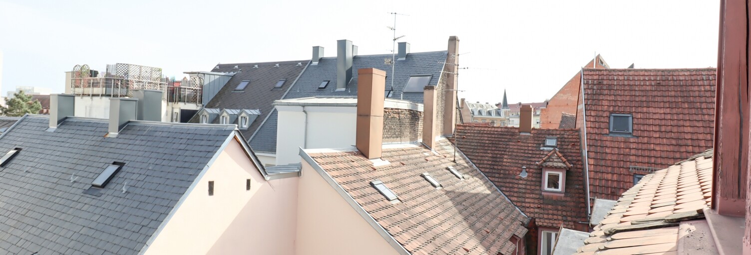 Appartement 1 Pièce 31 m² à vendre à Strasbourg (67000)