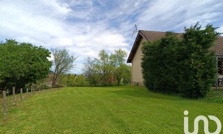 Photo N° 5