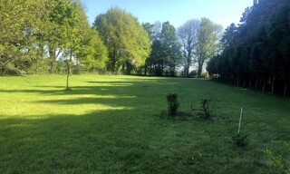 Photo N° 3