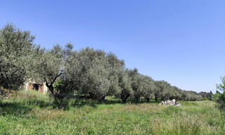 Photo N° 3