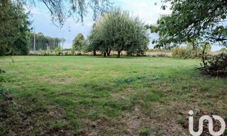 Photo N° 15