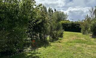 Photo N° 5