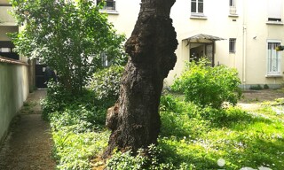 Photo N° 3