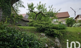 Photo N° 4