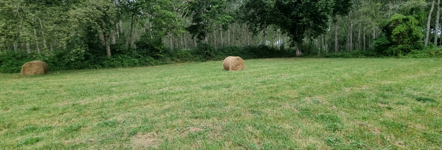 Terrain  1642 m² à vendre à Casteljaloux (47700)